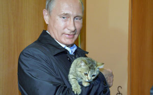 Putin-cat_3429903b